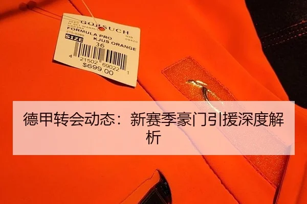 德甲转会动态：新赛季豪门引援深度解析